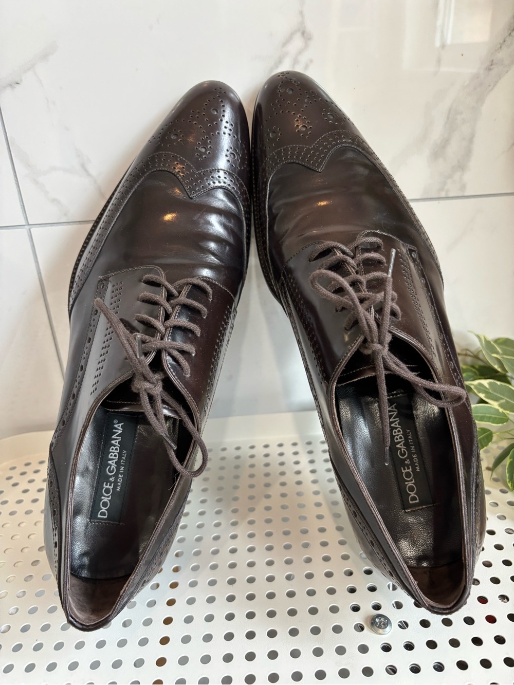 Dolce & Gabbana Dark Brown Leather Brogue Oxfords Size 10